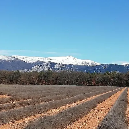 Gorges Du Verdon 3 Etoiles Proche Du De Ste Croix Nbres Activites Nautiques Randonnees Entoure De Champs De Lavandes 4 Pers